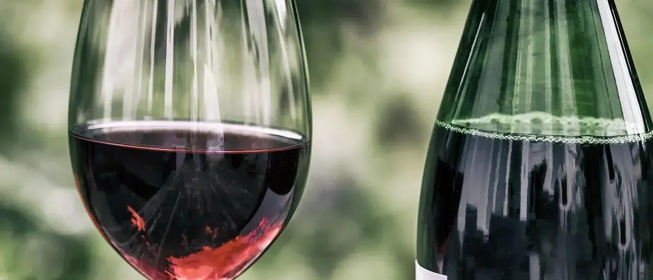 11 vine, der passer til det lyonnaiske køkken