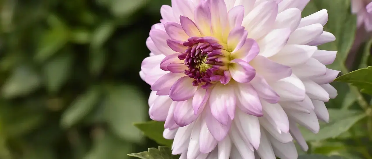 6 nemme vandreture i Monts d’Or med start fra Lyon