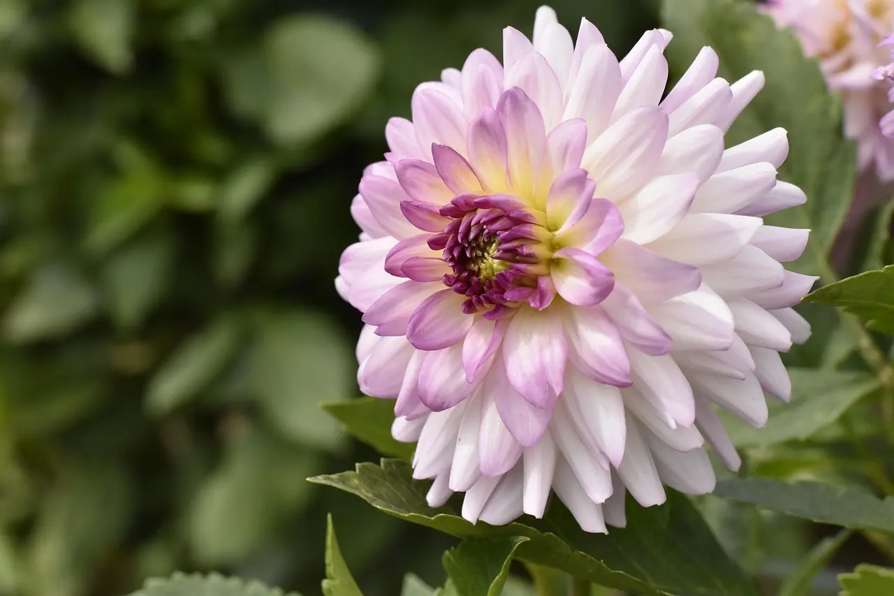 6 nemme vandreture i Monts d’Or med start fra Lyon