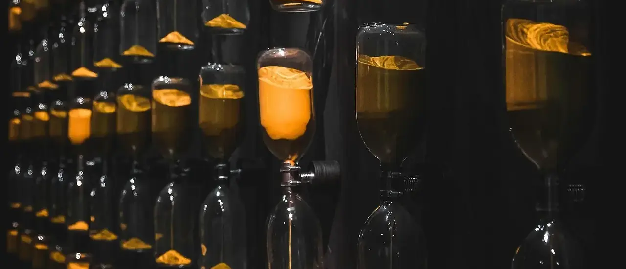 7 hovedværker på Musée des Beaux-Arts de Lyon