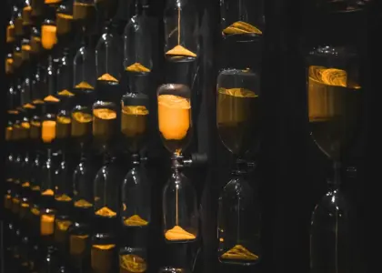 7 hovedværker på Musée des Beaux-Arts de Lyon