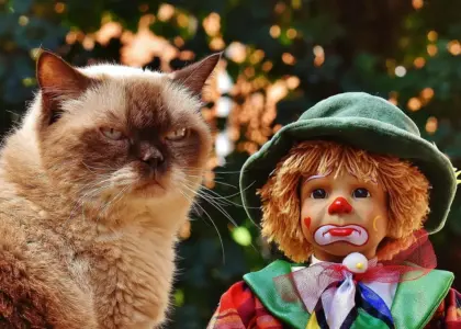 9 ikoniske Guignol-figurer og deres oprindelse