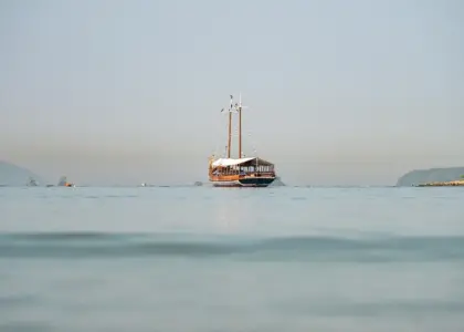 Er tablier de sapeur stadig på menukortene i Lyon?