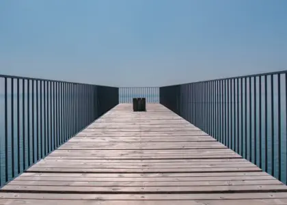 Hvad er cervelle de canut, og hvor smager den bedst?