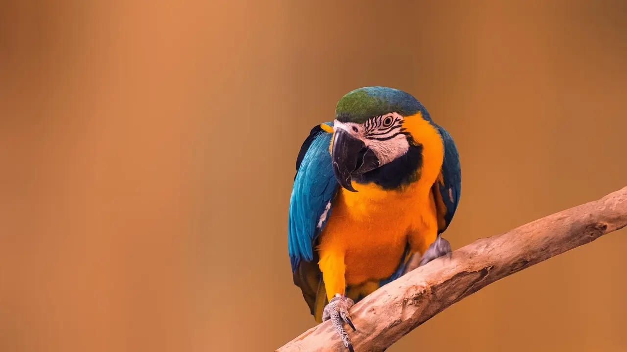 Hvilke dagsture fra Lyon egner sig til børn?