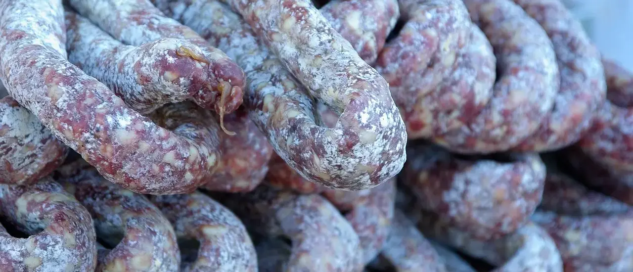 Hvor finder du den bedste saucisson brioché i Lyon?