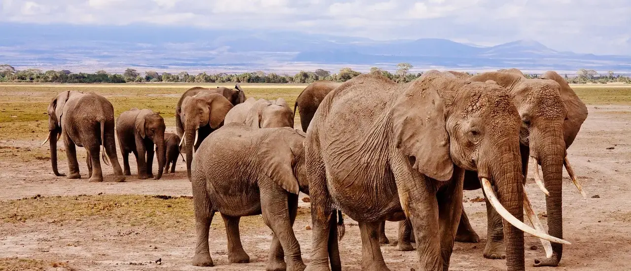 Lej kajak på Grand Large: priser og sikkerhed