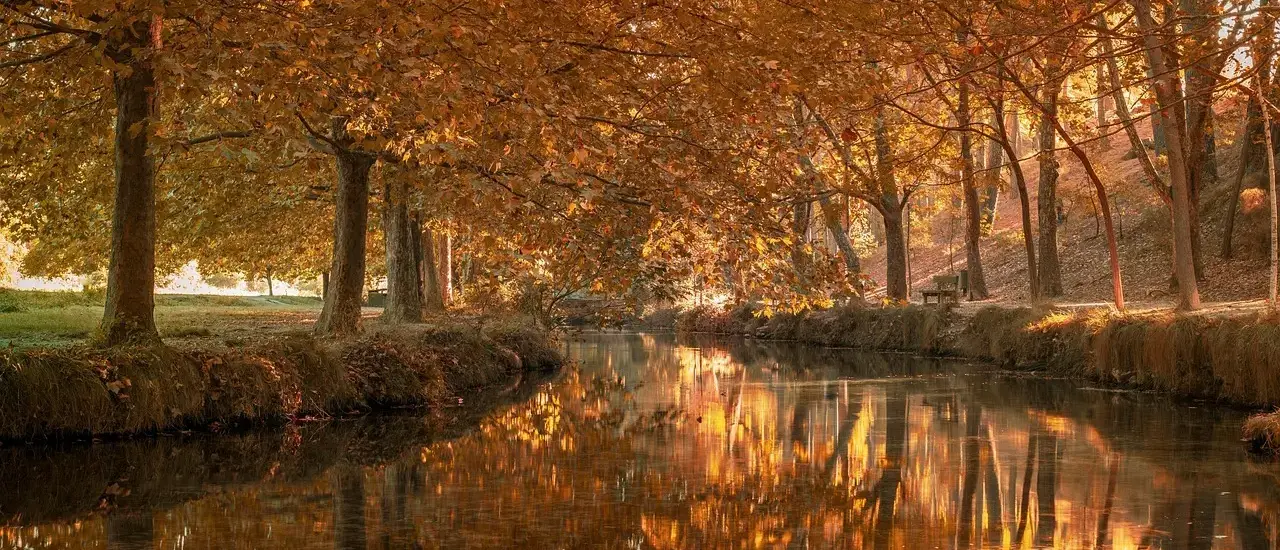 Må man drikke alkohol i Lyons parker?