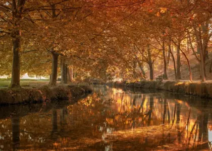 Må man drikke alkohol i Lyons parker?