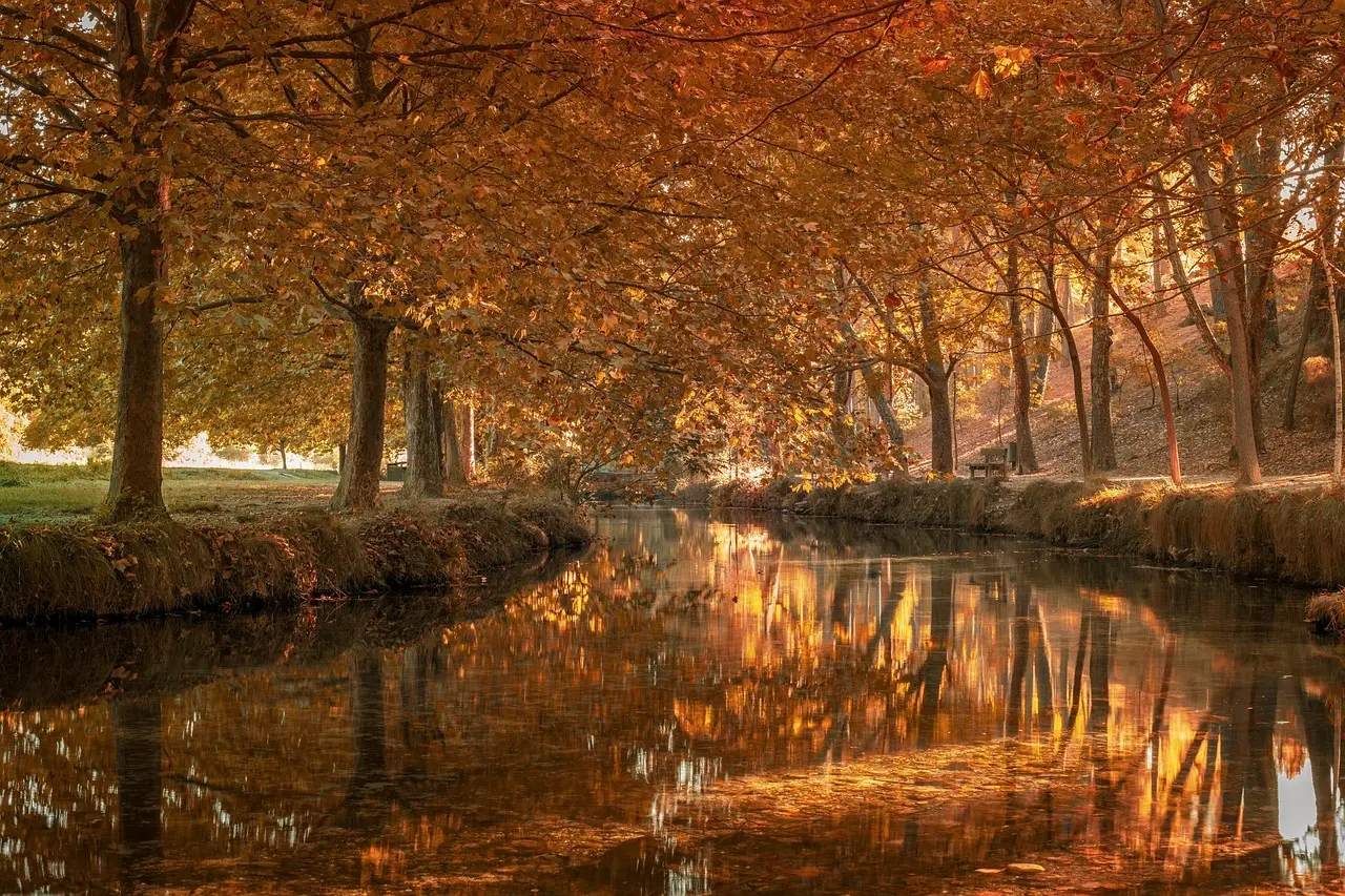 Må man drikke alkohol i Lyons parker?