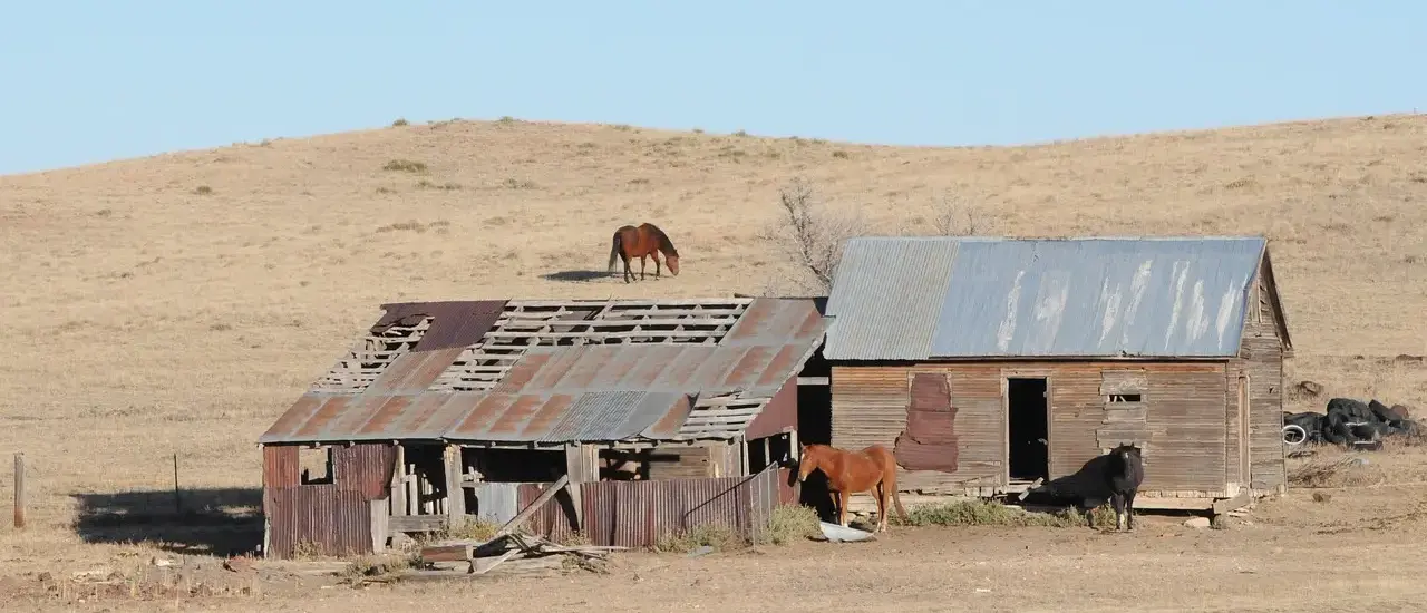 Medvirkende i The Ranch