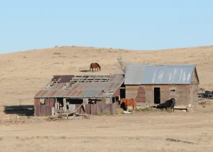 Medvirkende i The Ranch