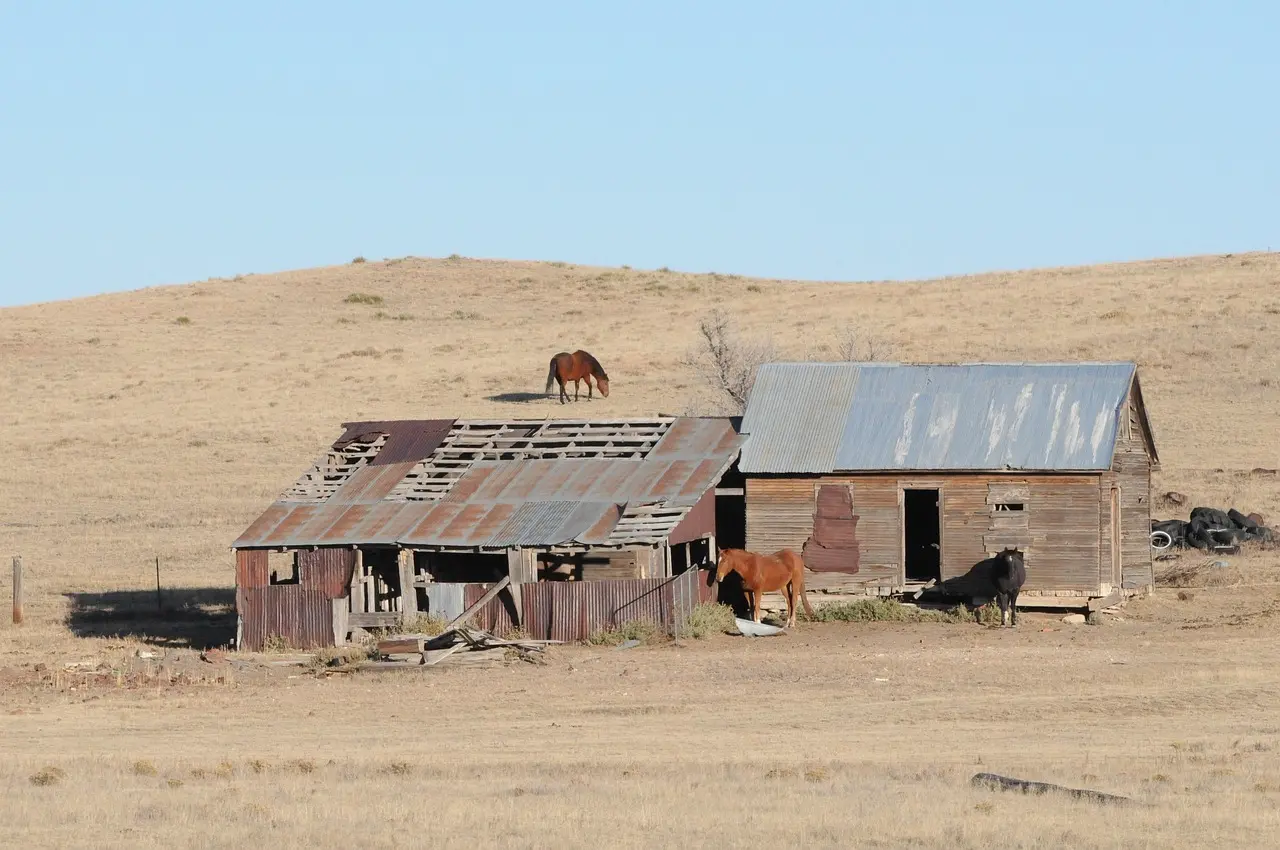 Medvirkende i The Ranch