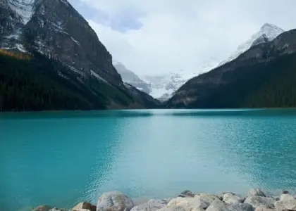 Medvirkende i Thelma Og Louise