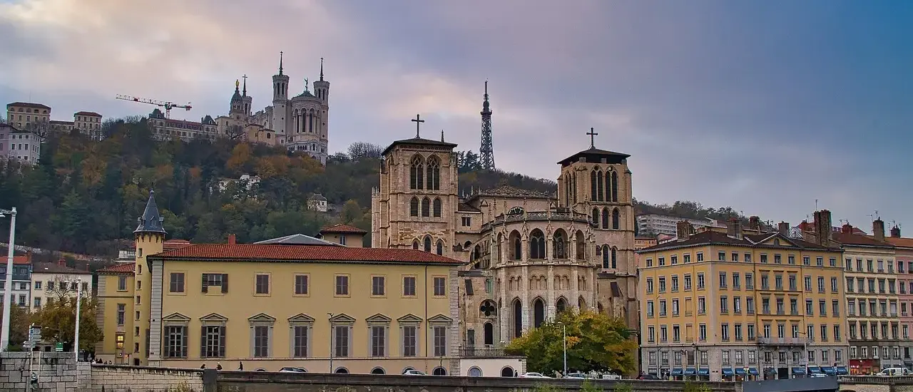 Rosette de Lyon: kendetegnene på topkvalitet