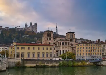 Rosette de Lyon: kendetegnene på topkvalitet