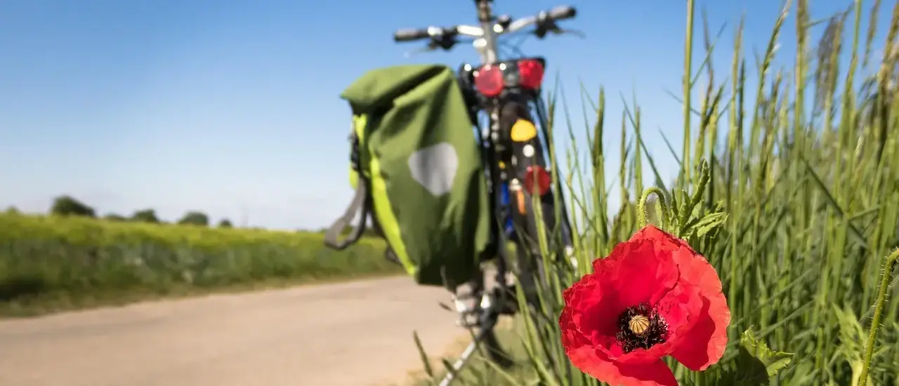 Sådan cykler du langs Rhône fra Confluence til Parc de la Tête d'Or