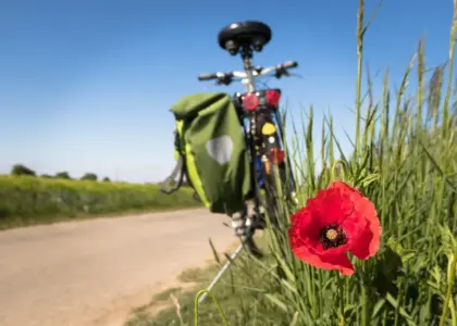 Sådan cykler du langs Rhône fra Confluence til Parc de la Tête d'Or