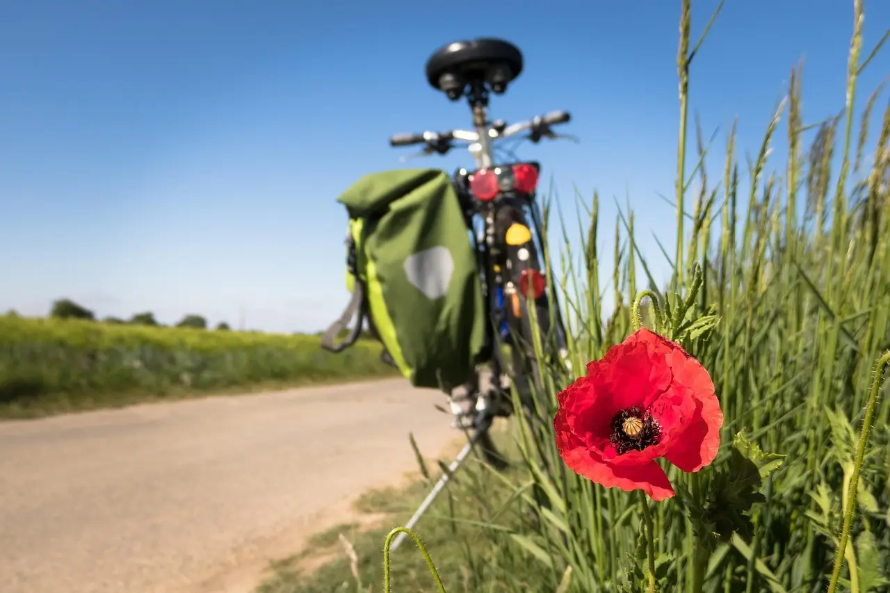 Sådan cykler du langs Rhône fra Confluence til Parc de la Tête d’Or