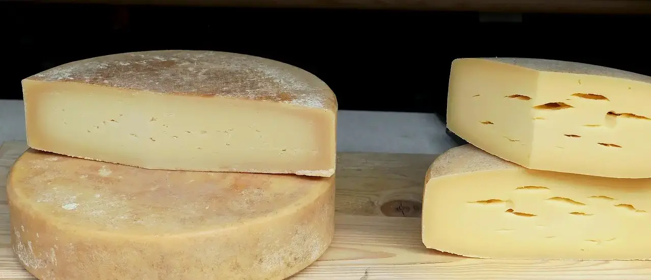 Saint-Félicien eller Saint-Marcellin: sådan vælger du